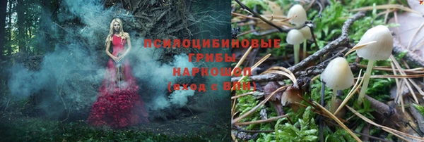 гашик Армянск